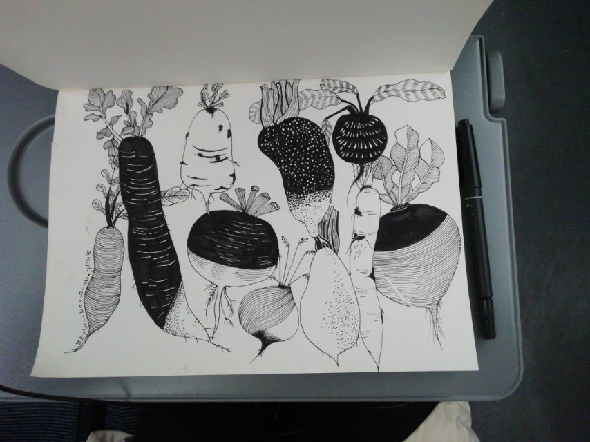 昨天出来的高铁上画的._线描画 | 每日一画_素描_小打卡