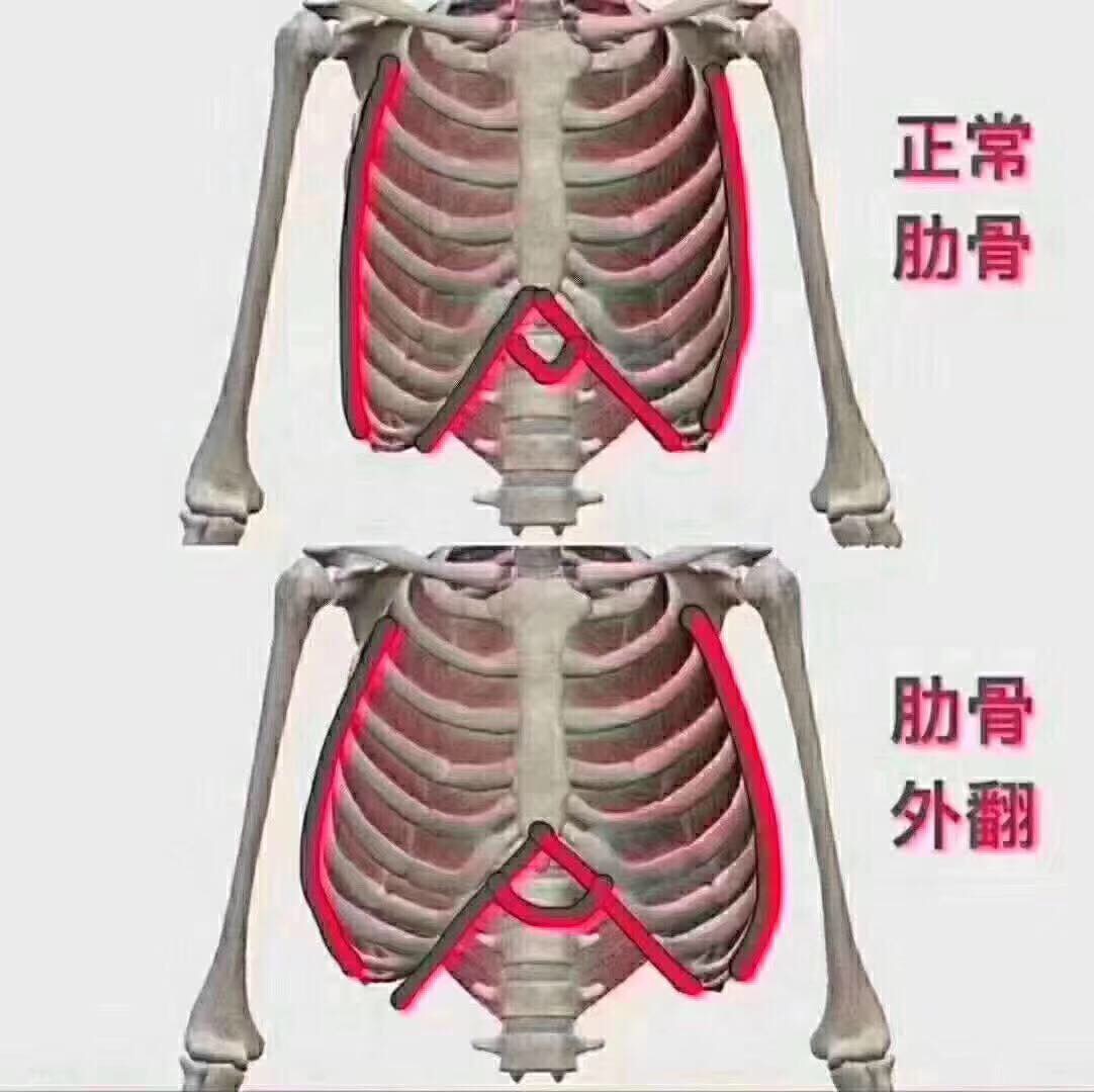 肋骨外翻通常有五个原._zhuzhu老师_瑜伽_小打卡