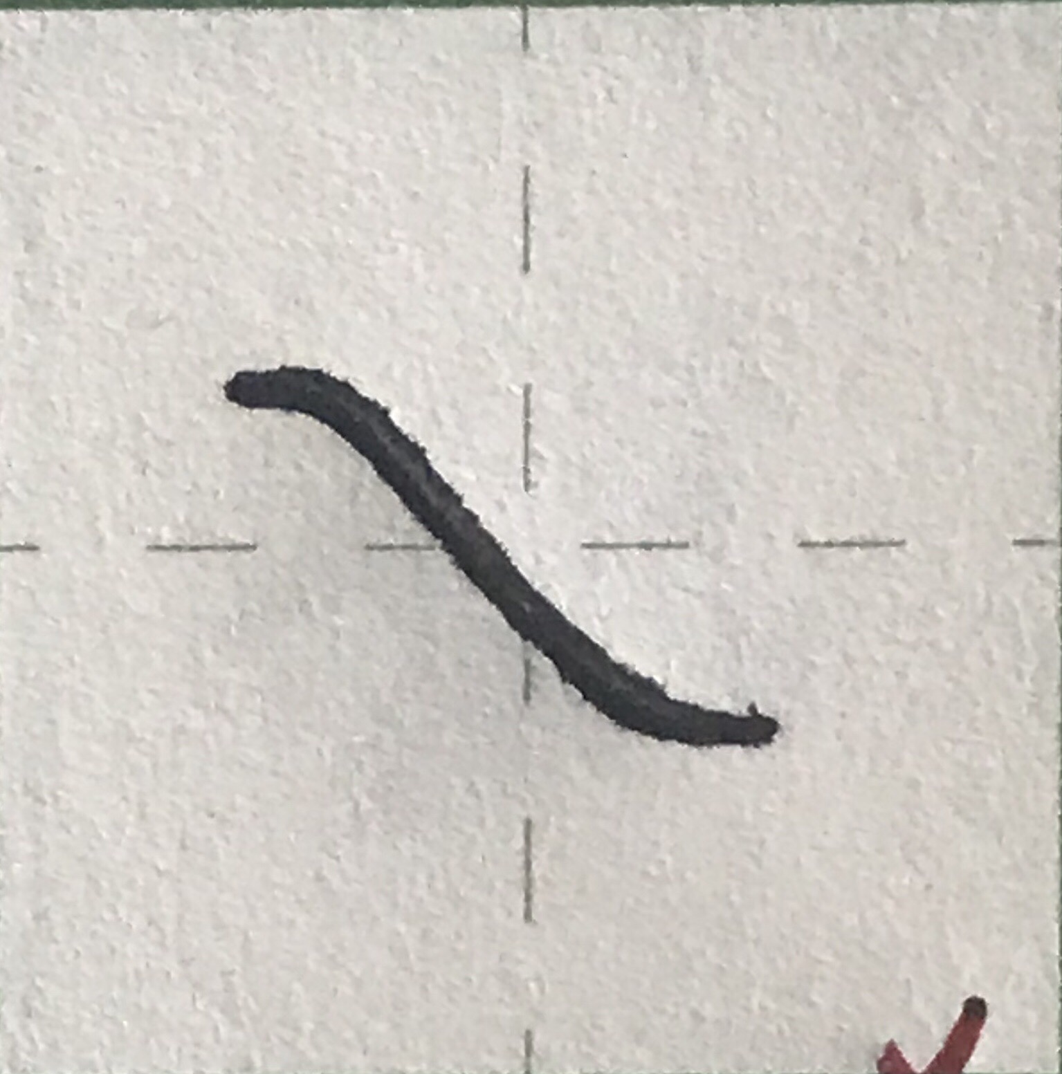 b处字,第一个除了捺的收笔向上挑了,其他的笔画还算是注意了