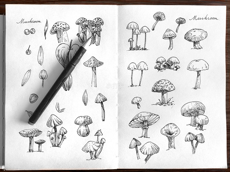 随笔蘑菇🍄 ,多练..._线描画 | 每日一画_绘画_小打卡